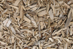 biomass boilers Radernie