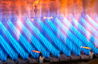 Radernie gas fired boilers